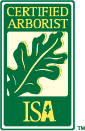 Hire a Certified Arborist
