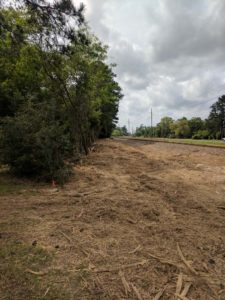 Parker land clearing services and scrub oak removal on Tree Service Parker